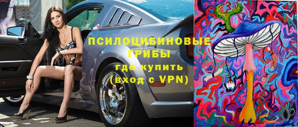 мдпв Михайловск