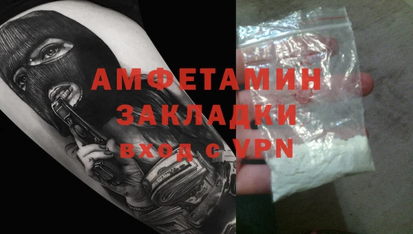 сатива Арсеньев
